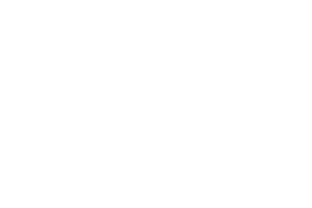 FGI Yacht Group