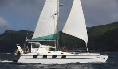 Fastback Catamarans