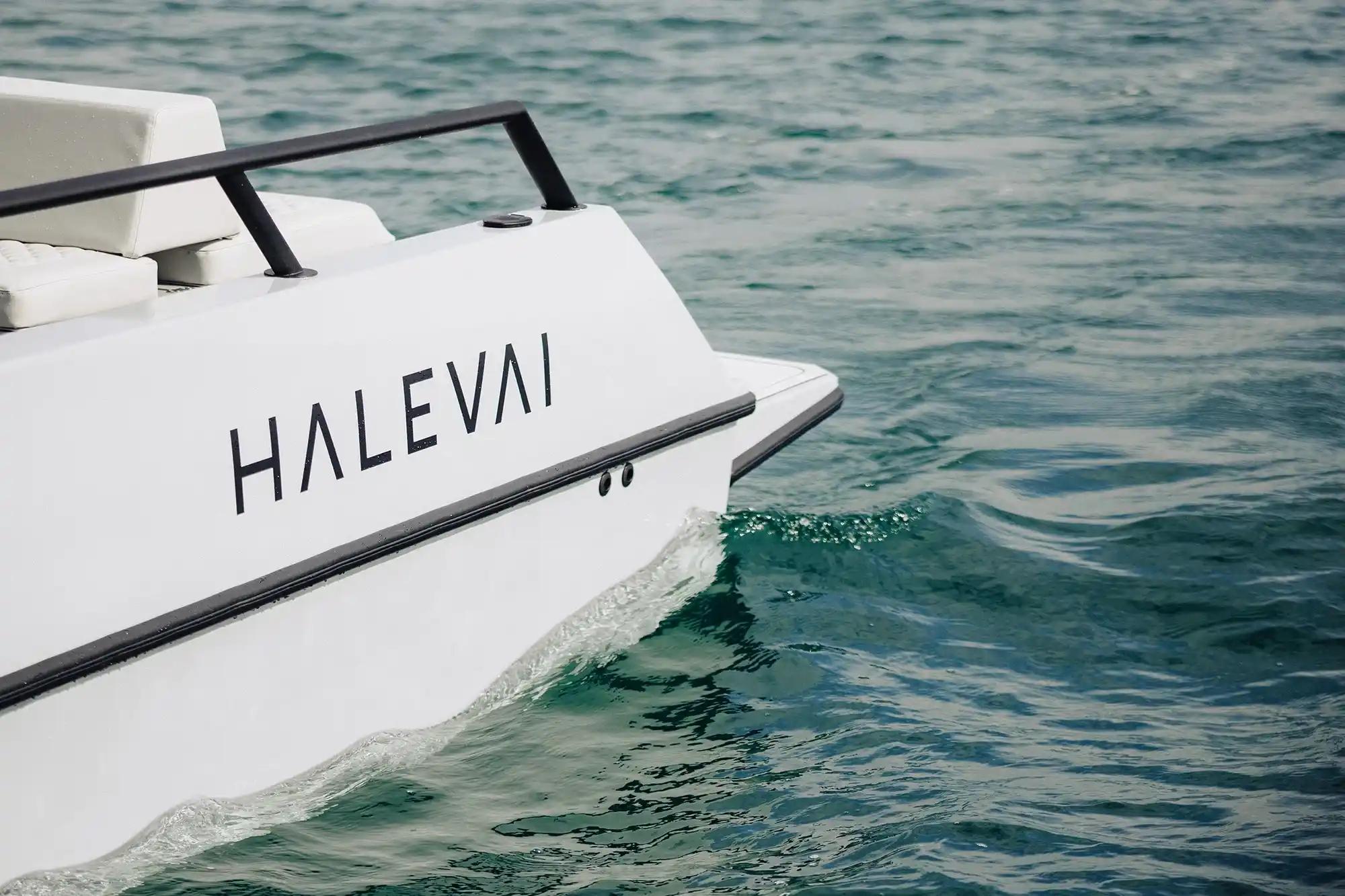 HALEVAI logo
