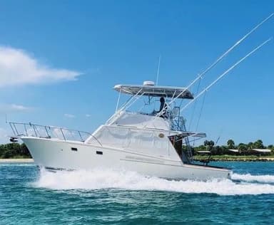Jersey Yachts