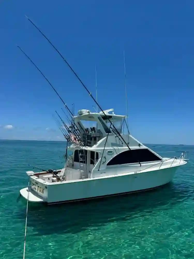 Ocean Yachts 42 super sport for Sale