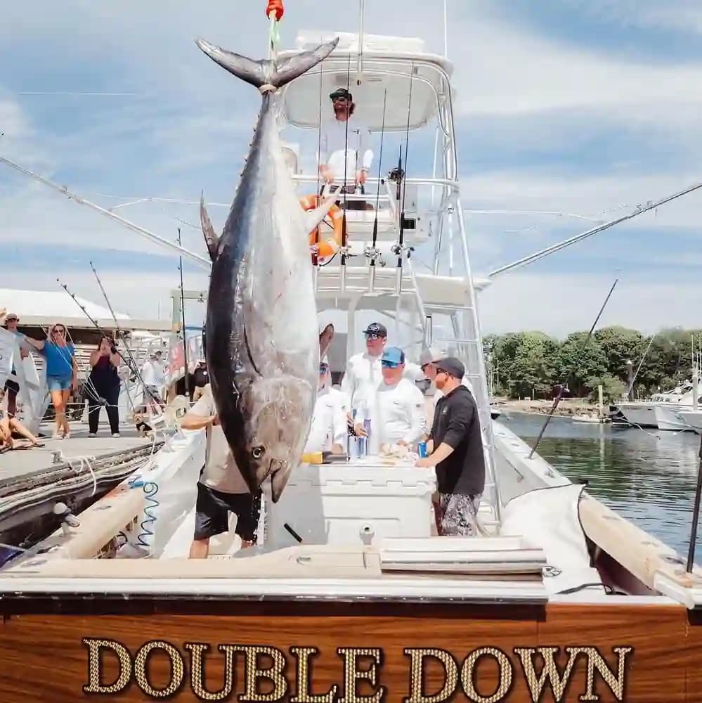 2014 Release Walkaround zum Verkauf in Fort Lauderdale, Florida Walk-around Boats 5
