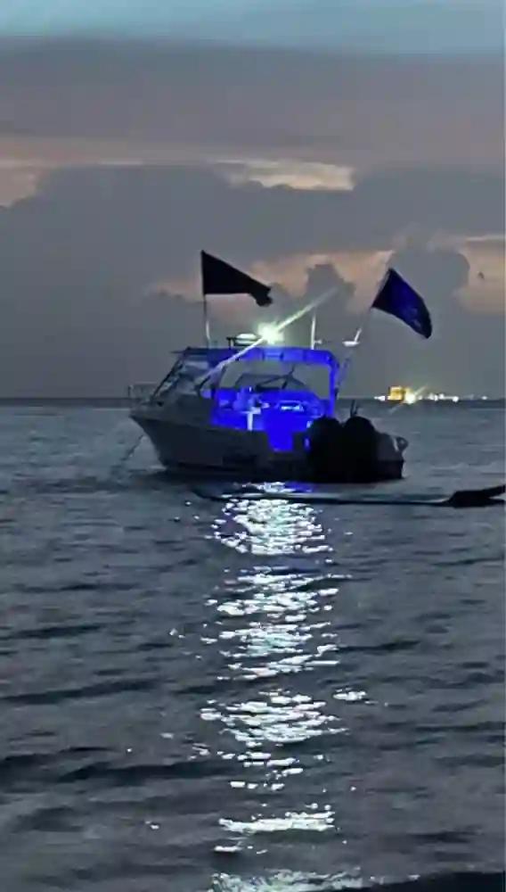 Wellcraft 290 Coastal à vendre