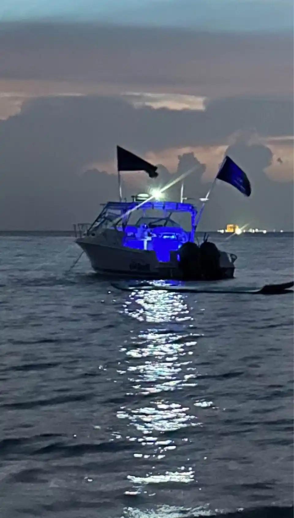 Wellcraft 290 Coastal à vendre