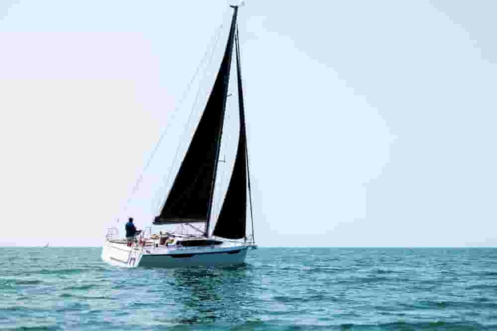 2026 Northman maxus 31