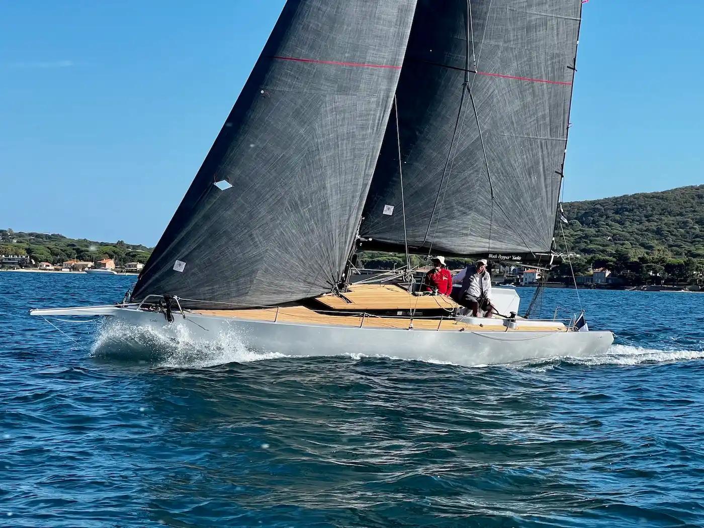 Black Pepper Code 0.1 For Sale