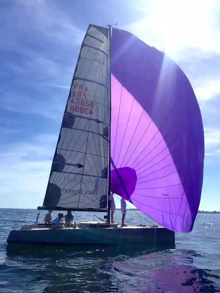 Black Pepper Code # For Sale