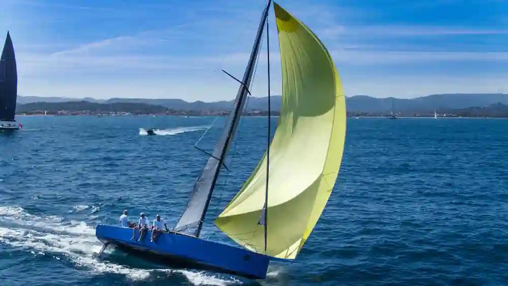 Black Pepper Code 0.1 For Sale