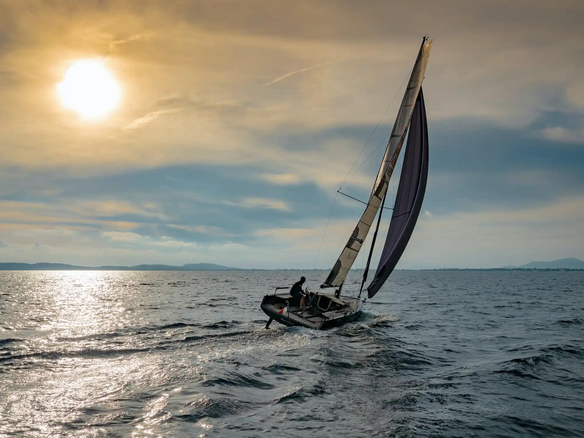 Black Pepper Code # For Sale