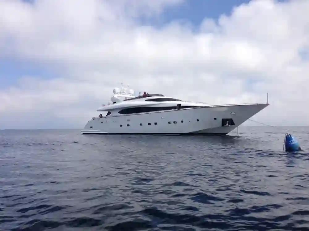 Maiora Maiora 31 a la venta