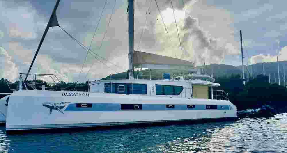 2019 Squalt Marine CK64