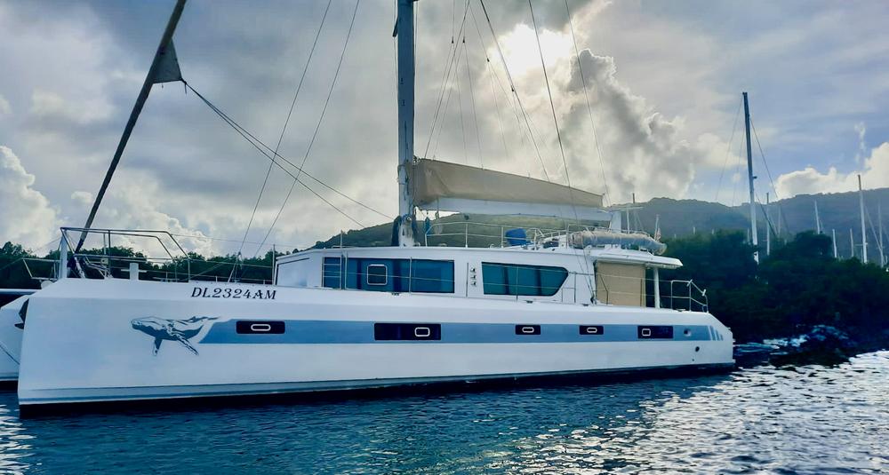 2019 Squalt Marine CK64