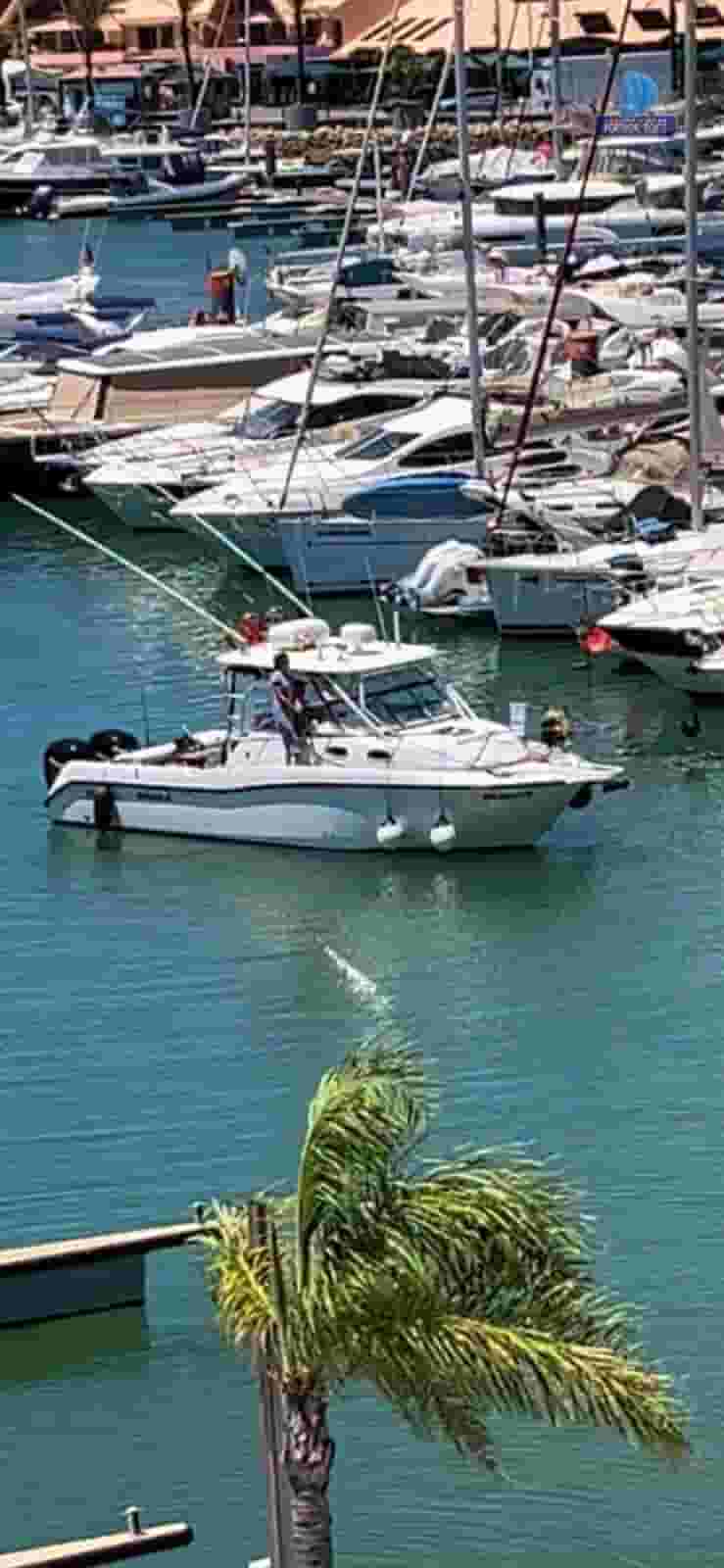 2005 Boston Whaler 305 Conquest