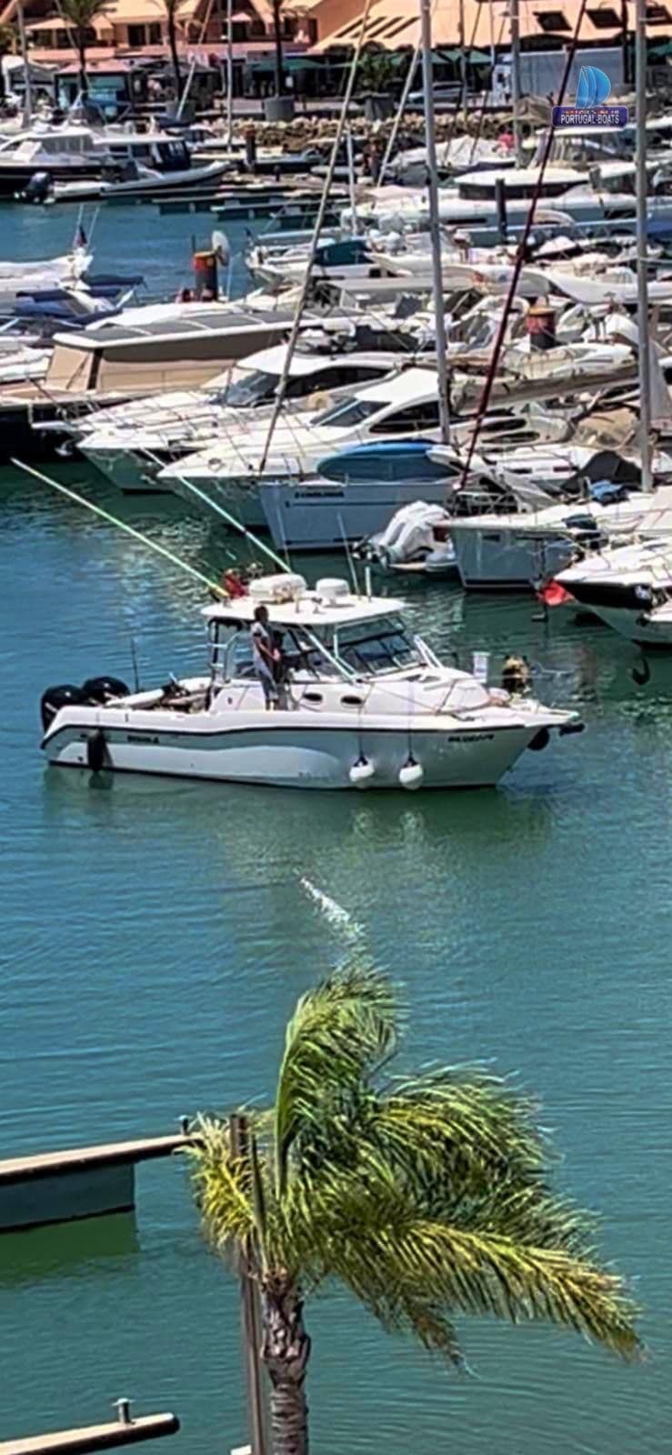 Boston Whaler 305 Conquest à vendre