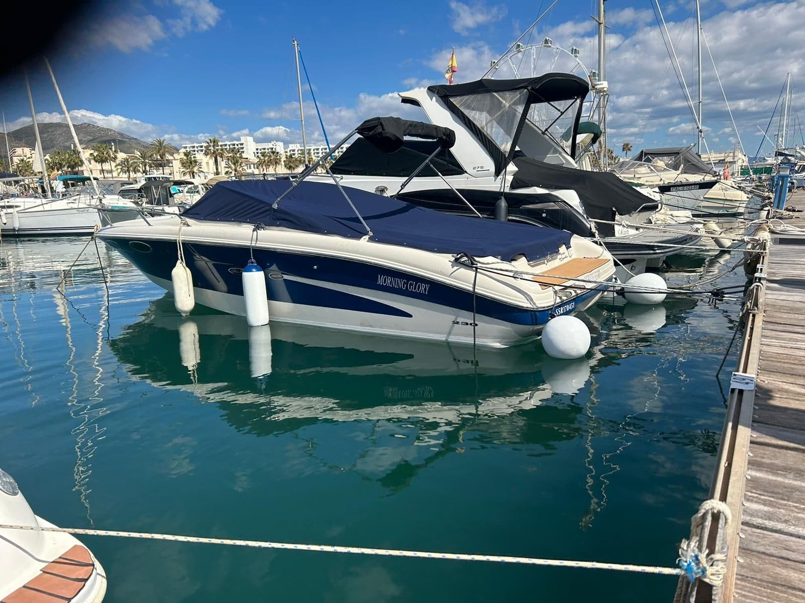 Sea Ray 230 Signature for Sale