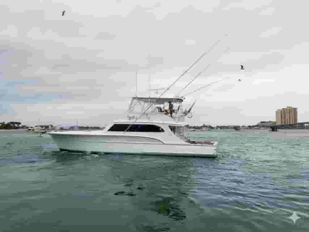 2001 Buddy Davis 61 Sportfish