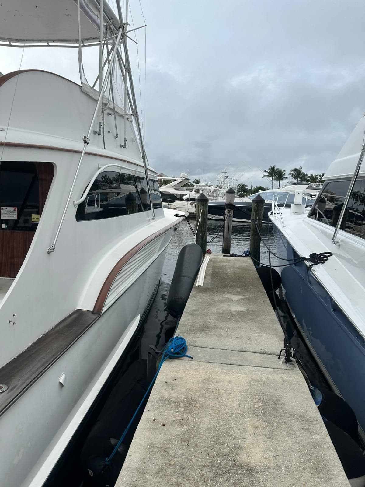 Buddy Davis 61 Sportfish a la venta