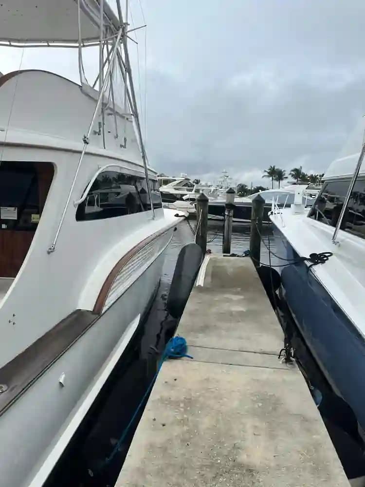Buddy Davis 61 Sportfish a la venta