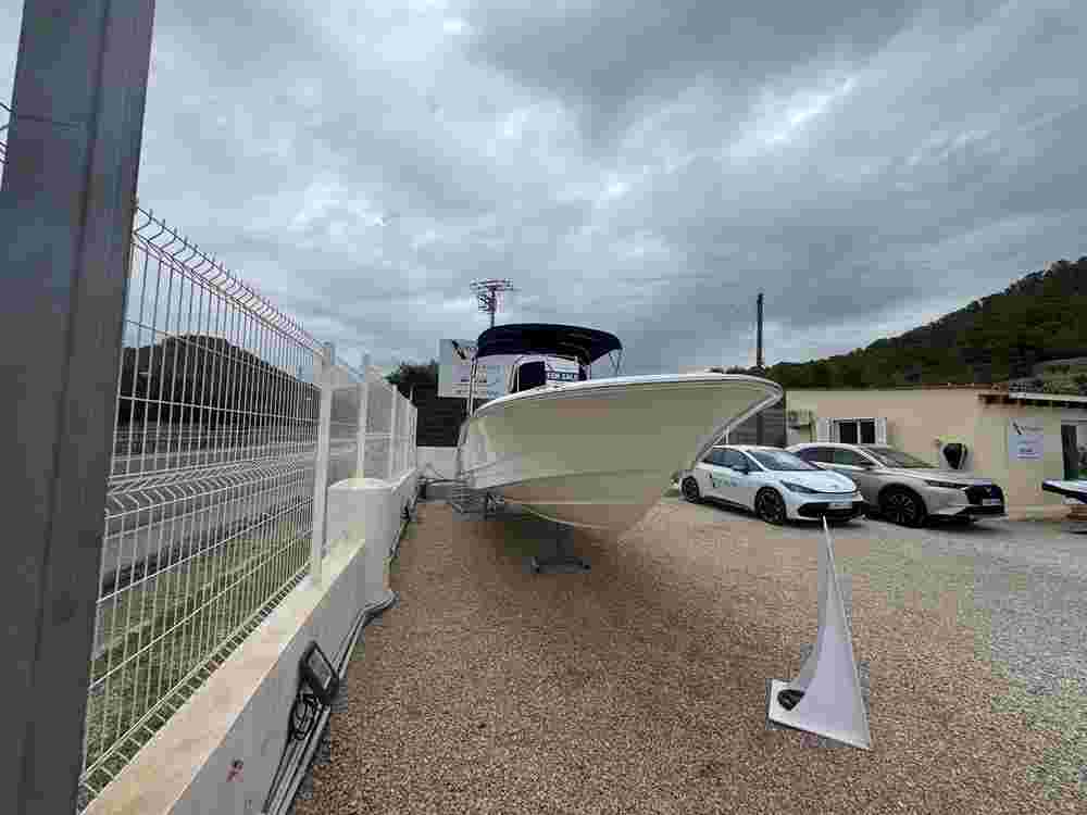 2023 Boston Whaler 250 Dauntless