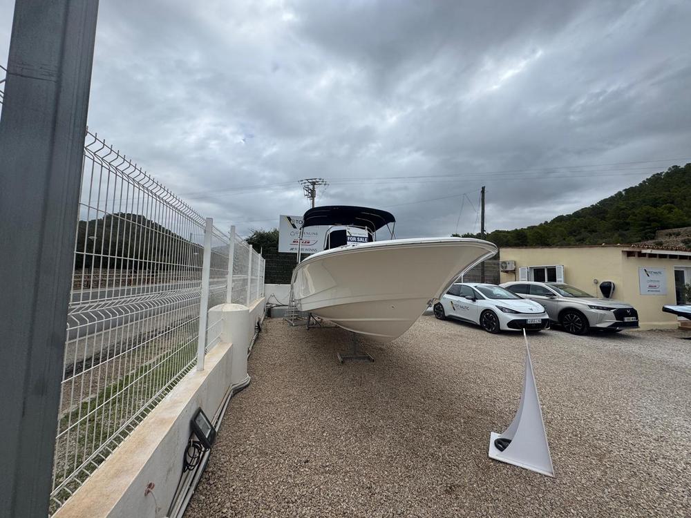 2023 Boston Whaler 250 Dauntless