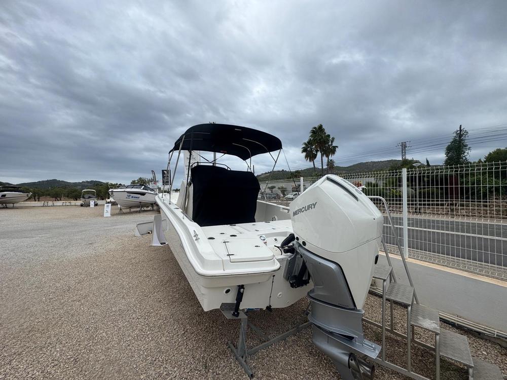 2023 Boston Whaler 250 Dauntless