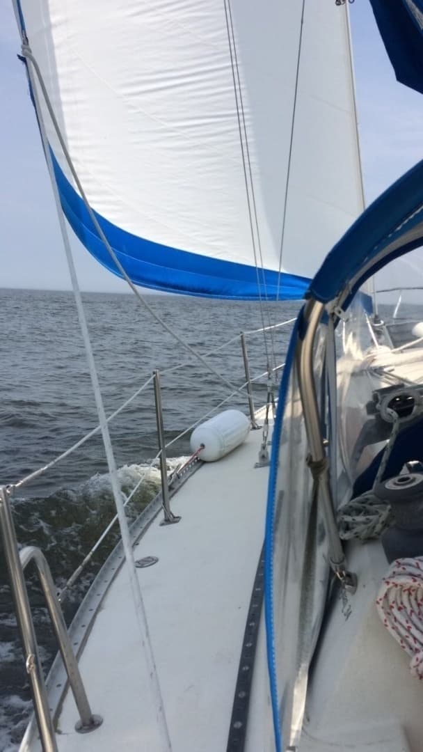 1982 San Juan Sailboats 34 for Sale in Tracys Landing, Maryland Sloop 4