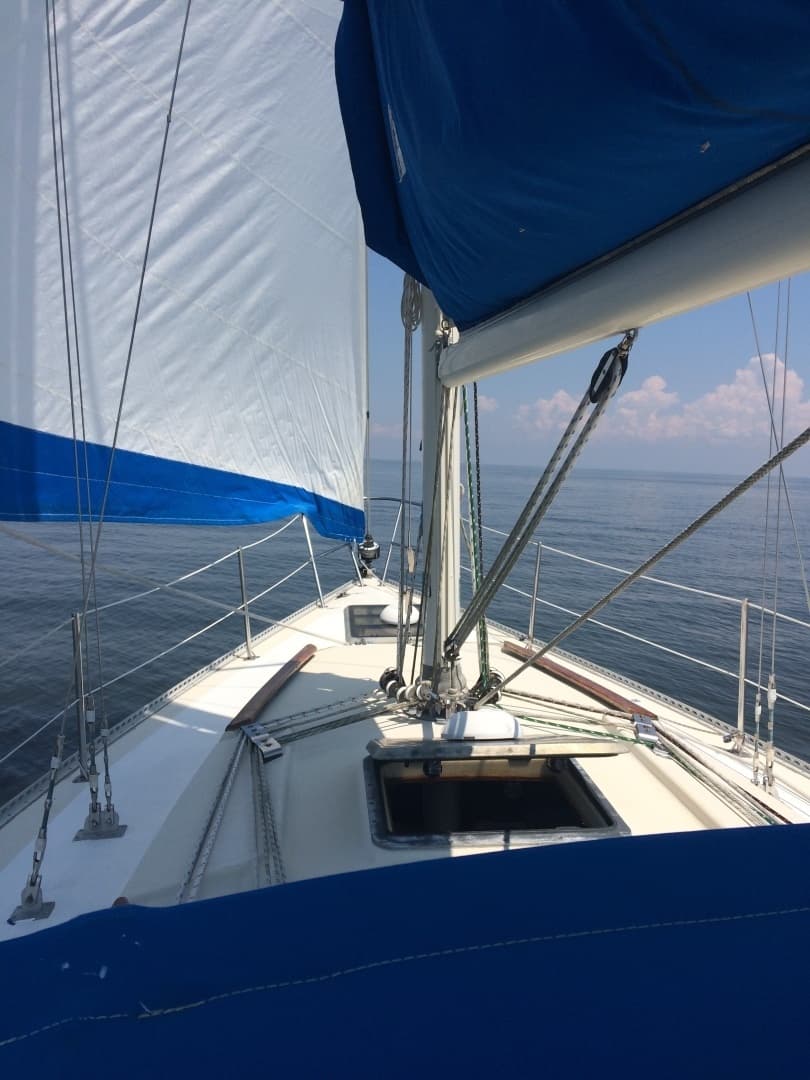 1982 San Juan Sailboats 34 for Sale in Tracys Landing, Maryland Sloop 5