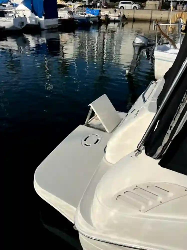 Sea Ray 260 Sundancer in vendita