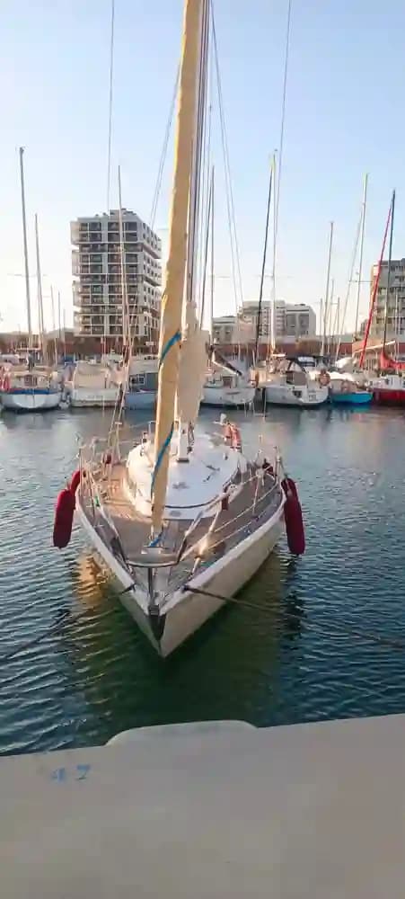 Sabre Yachts Javelin 30 te koop