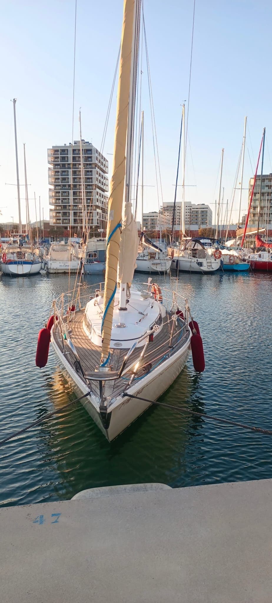 Sabre Yachts Javelin 30 te koop