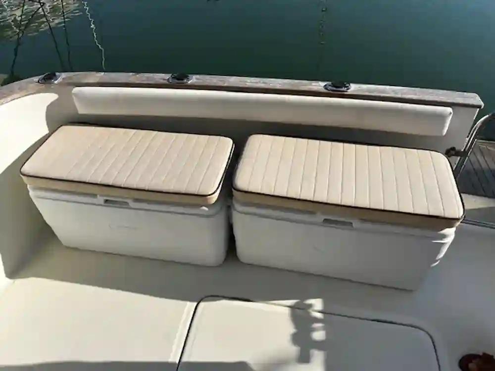 Starfisher 30 For Sale
