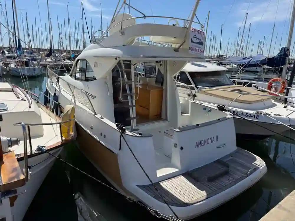 Starfisher 30 in vendita