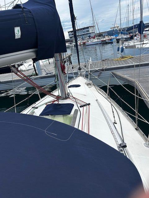 Jeanneau Sun Odyssey 29.2 te koop
