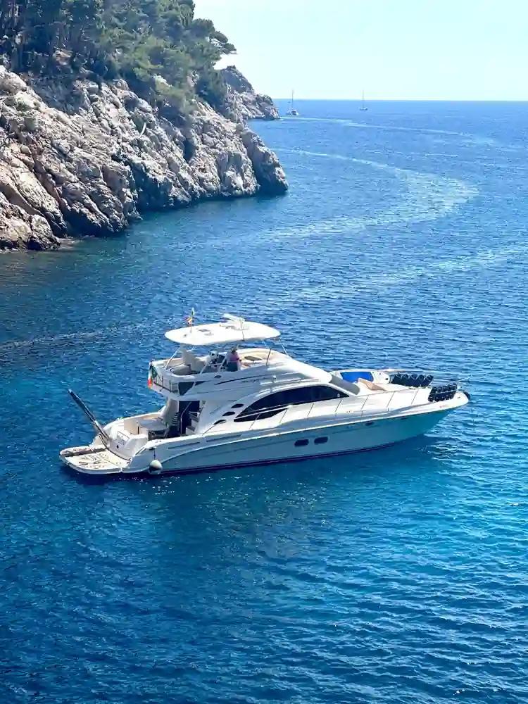 Sea Ray 580 Sedan Bridge For Sale