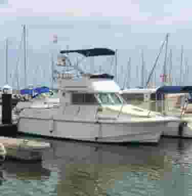 1998 Goymar 800 Fly