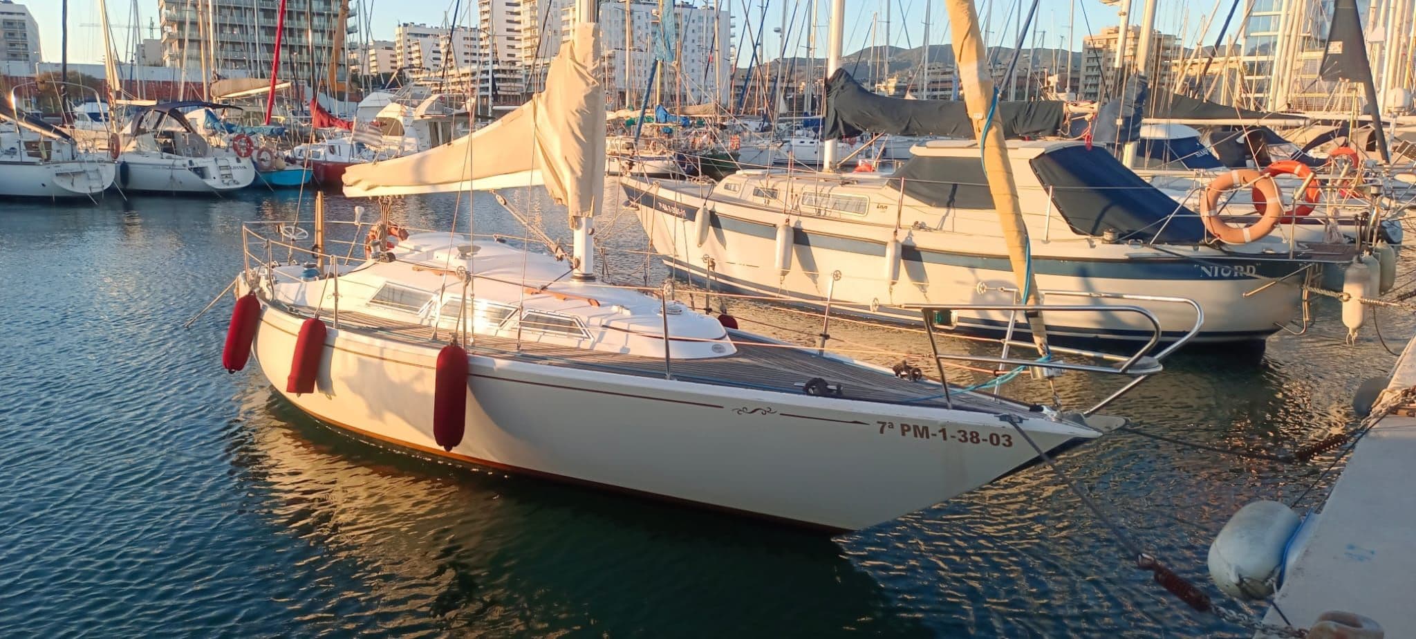 Sabre Yachts Javelin 30 te koop