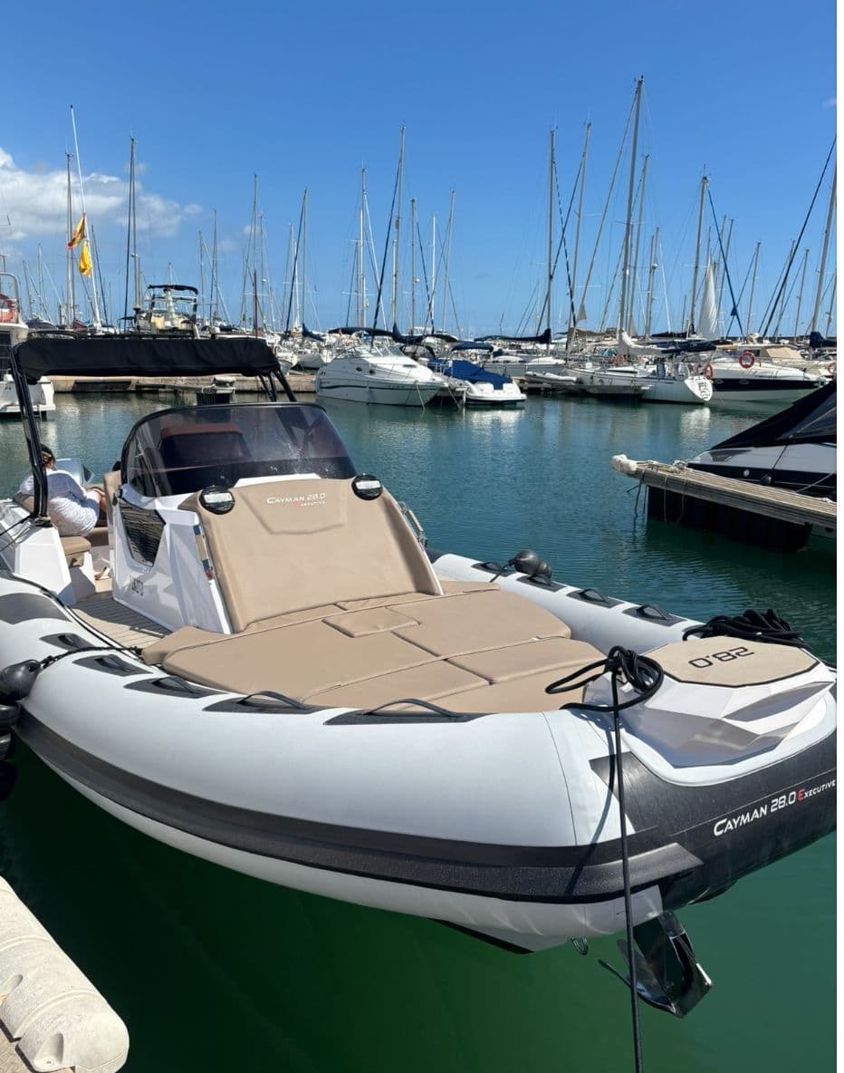 Ranieri International Cayman 28 Executive à vendre