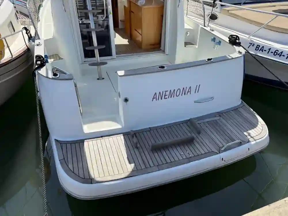 Starfisher 30 in vendita