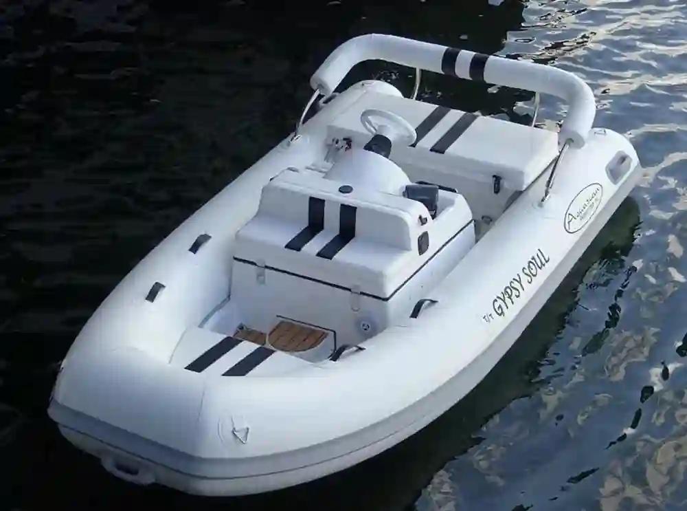 Aquascan Sprinter F11 For Sale