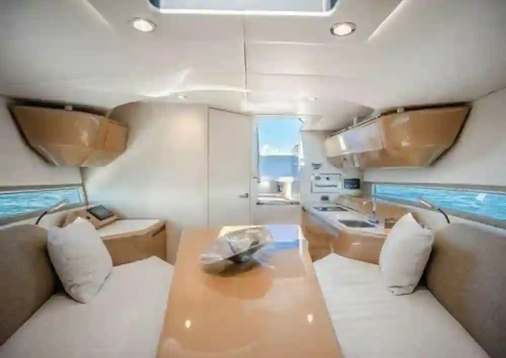 2018 Canard eMotion Hybrid for Sale in Miami, Florida Runabout 5