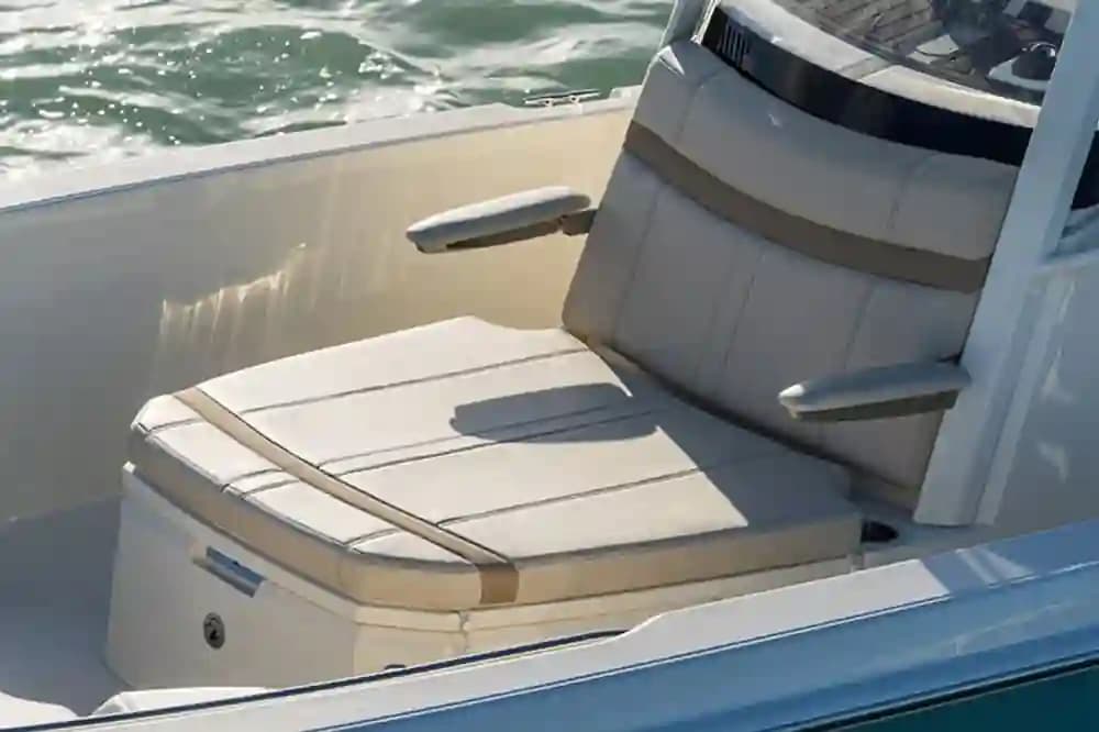 2024 Boston Whaler 250 Dauntless for Sale in Charlevoix, Michigan Center Console 3
