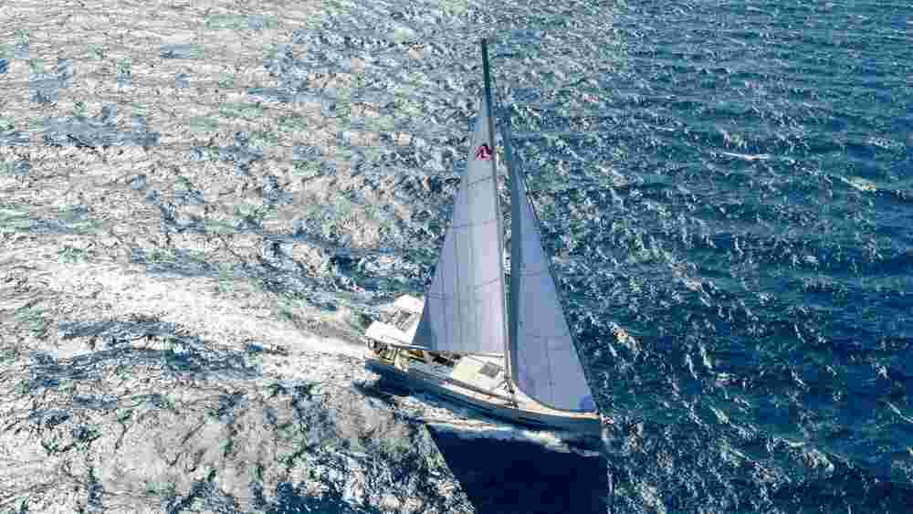 2026 Hanse 590