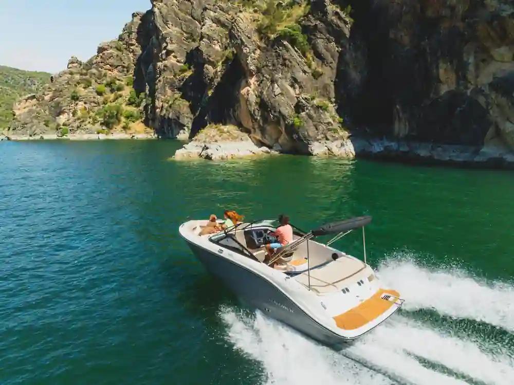 Bayliner V20i For Sale