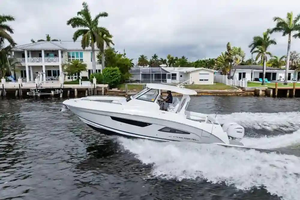 Regal 33 SAV te koop