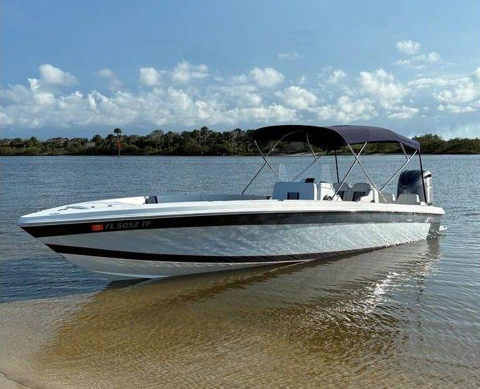 Action Marine 25' For Sale