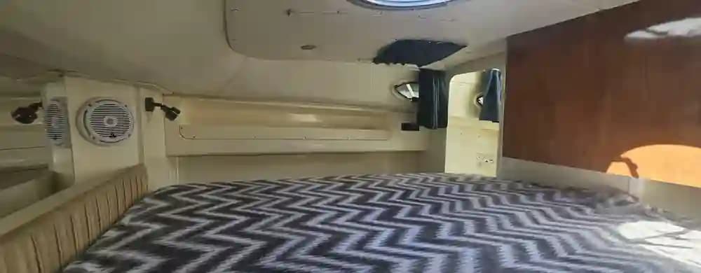 2008 World Cat 320 EC in vendita a Treasure Island, Florida Saltwater Fishing 4