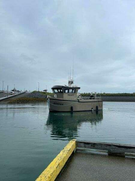 Freestyle Marine 32 te koop