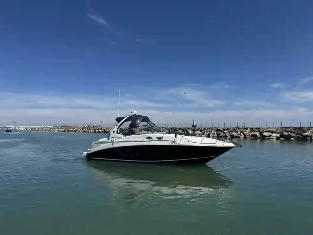 Sea Ray Sundancer 320 for Sale