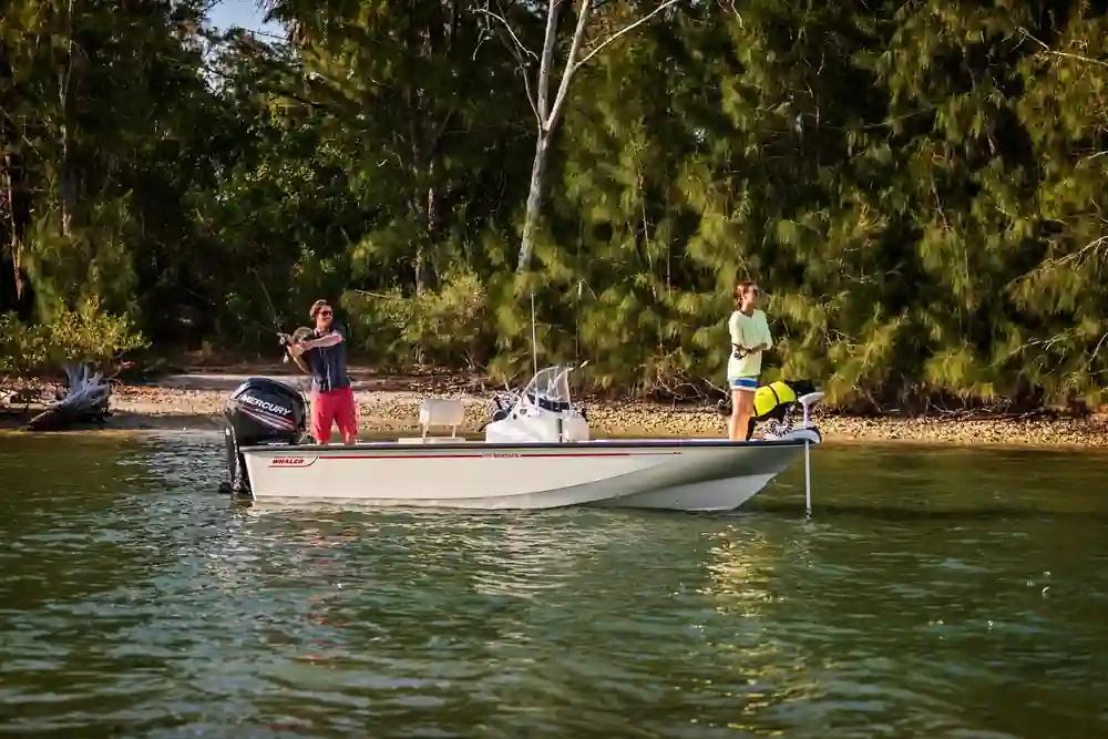 Boston Whaler 170 Montauk For Sale
