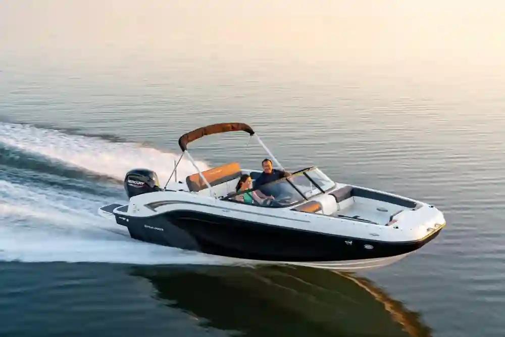 Bayliner DX2000 a la venta